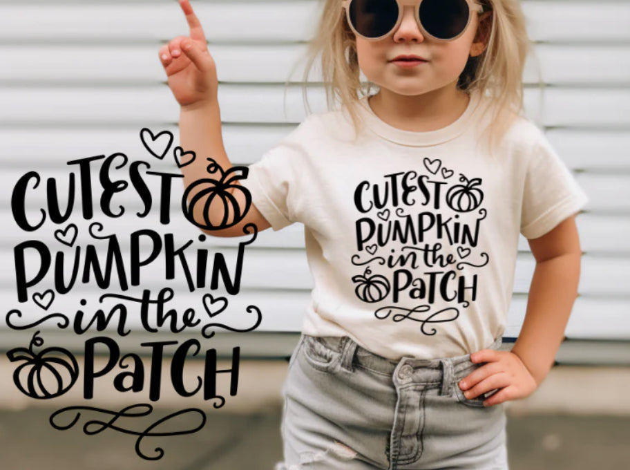 Cutest Pumpkin