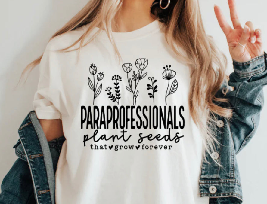 Paraprofessionals