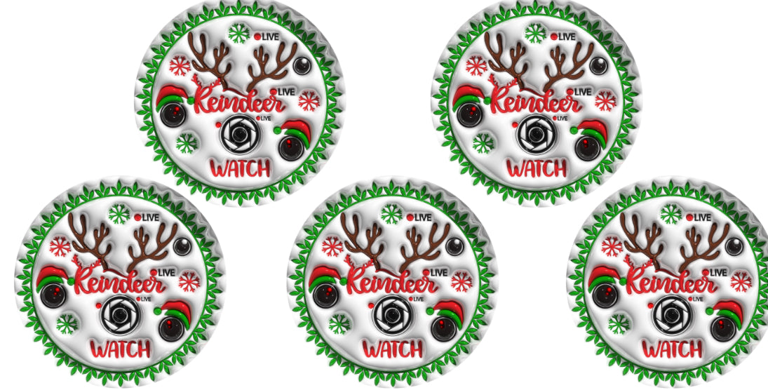 Reindeer Cam