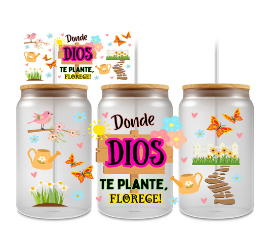 Donde Dios